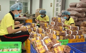 Đồng Nai - “thủ phủ” cây công nghiệp