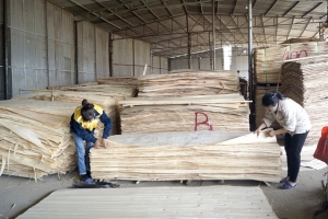 Phát huy tiềm năng của ngành nghề nông thôn