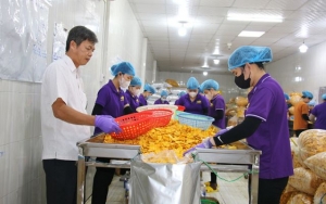 Kỳ vọng từ sản phẩm đạt chuẩn OCOP 5 sao đầu tiên của tỉnh