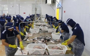 Chủ động xây dựng kịch bản cho xuất khẩu nông, lâm, thủy sản