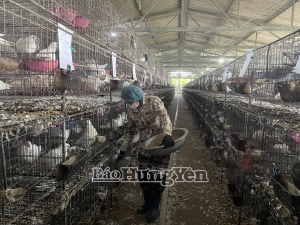 Hợp tác xã chăn nuôi và cung cấp chim bồ câu pháp Quang Tùng: Doanh thu 6 tháng đầu năm đạt gần 7 tỷ đồng