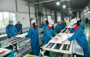 Điều hành chính sách tài khóa hợp lý: Tạo đà cho tăng trưởng kinh tế