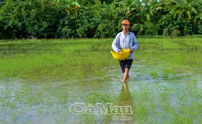 Hướng tới nông nghiệp xanh