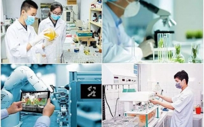 Làm gì để thu hút chuyên gia?