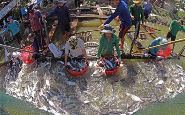 Đồng Tháp: Đặt trọng tâm vào khai thác hành lang kinh tế biển