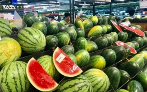 Xác thực truy xuất nguồn gốc: 'hộ chiếu số của sản phẩm' cho hành trình xuất ngoại