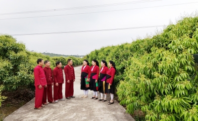 Bắc Ninh: Dân ca Soọng cô và nghề làm bánh đa nem Thổ Hà được công nhận là di sản văn hóa phi vật thể quốc gia