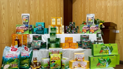 22 sản phẩm tham gia đánh giá, phân hạng OCOP cấp tỉnh năm 2025