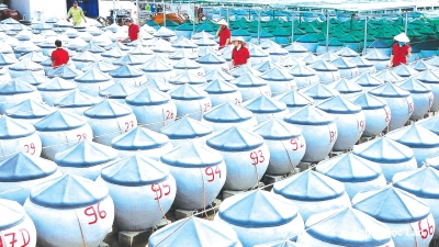 “Mảnh đất màu mỡ” sản sinh doanh nghiệp