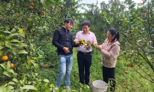 Tổng nguồn vốn các chương trình tín dụng chính sách xã hội đạt hơn 5.021 tỷ đồng