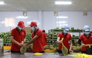 Xuất khẩu nông sản hướng tới mục tiêu 70 tỷ USD