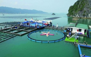 Biển xanh - động lực phát triển bền vững cho kinh tế Việt Nam