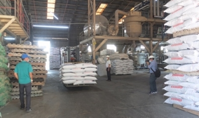 Sản xuất công nghiệp vẫn duy trì chiều hướng tăng trưởng