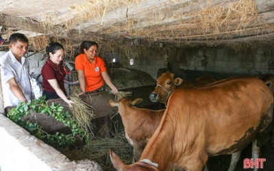 Nâng cao quyền năng phụ nữ từ dự án của Tổ chức Bánh mì cho thế giới