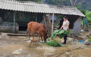 Công nghệ số: “Đòn bẩy” giảm nghèo bền vững
