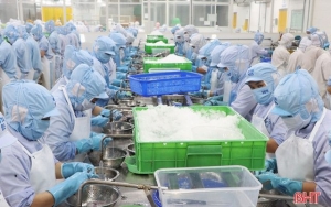 Doanh nghiệp Hà Tĩnh 