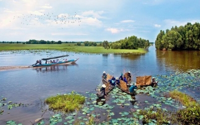 Mô hình du lịch sinh thái tại Đồng Tháp