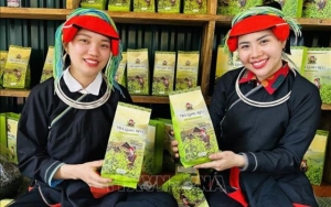 OCOP thích ứng sau hợp nhất tỉnh, thành