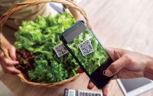 Truy xuất nguồn gốc - “Hộ chiếu số” bảo vệ chuỗi cung ứng và thương hiệu Việt