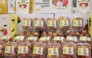 Xuất khẩu rau quả trở lại 