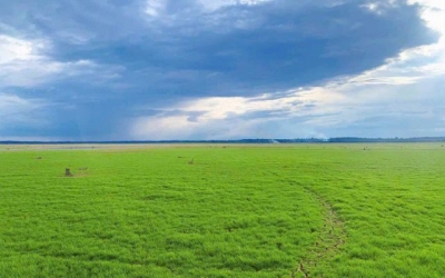 Cuối tuần ghé hồ Trị An bắt cá mùa nước cạn