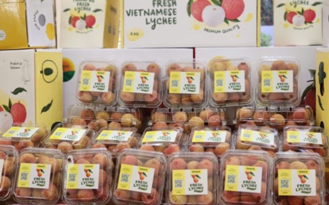 Xuất khẩu rau quả trở lại 