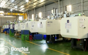 Doanh nhân Đồng Nai - bản lĩnh và tầm nhìn trong thời kỳ hội nhập