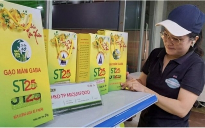 Tin vui đến với gạo ST25 ở Cần Thơ