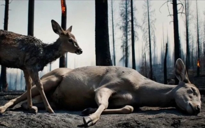 Trí tuệ nhân tạo trong điện ảnh Việt