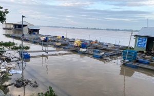 Trải nghiệm Khu du lịch làng bè An Phong