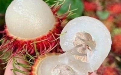 Giá trái cây giảm sâu