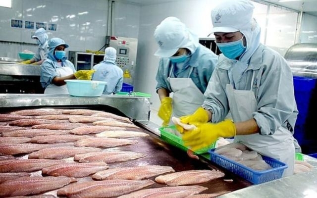 Xuất khẩu cá tra vượt mốc 1 tỷ USD, tăng trưởng mạnh nửa đầu năm