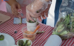 Khi Gen Z sống xanh không chỉ là trào lưu mà là lựa chọn sống thông minh