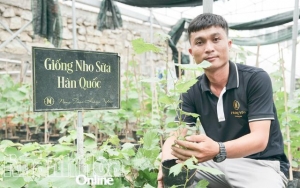 Tống Minh Hoàng và khát vọng nâng tầm giá trị cây nho