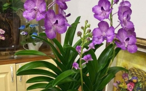 Sản phẩm thủ công mỹ nghệ làng nghề Hà Nội “Nâng tầm sáng tạo, lan tỏa tinh hoa, vươn mình Hội nhập