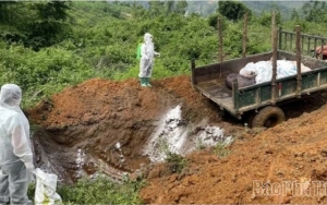 Thêm 1 xã hết bệnh Dịch tả lợn châu Phi