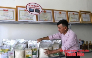 Phát triển sản phẩm OCOP trong các HTX