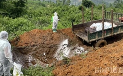 Thêm 1 xã hết bệnh Dịch tả lợn châu Phi