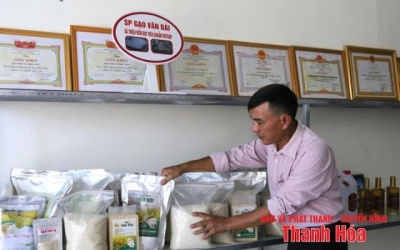 Phát triển sản phẩm OCOP trong các HTX