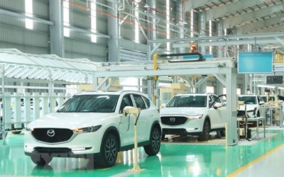 Top 10 ôtô được săn lùng nhiều nhất nửa đầu 2025