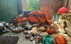 Công nghệ phù phép 2,7 tấn thịt lợn ngả màu, bốc mùi hôi thối thành lạp xưởng, thịt sấy, thịt hun khói để tiêu thụ