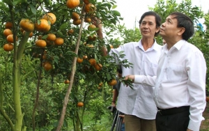 Tập trung nguồn lực phát triển toàn diện, bền vững kinh tế - xã hội