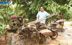 Nguồn thu ổn định cho người dân tham gia quản lý, bảo vệ rừng