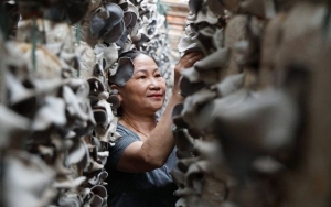 Gắn kết nông nghiệp, công nghiệp, thương mại ở Đức Trọng