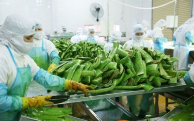 'Trùm' cung cấp nguyên liệu cho Vinamilk, Masan thâu tóm 'vua nha đam'