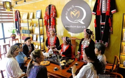 Động lực thúc đẩy kinh tế hợp tác xã