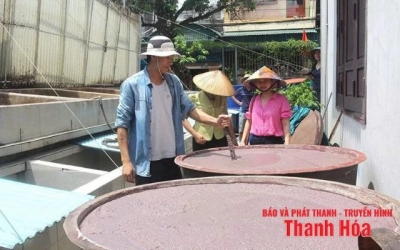 Phát triển ngành nghề truyền thống theo hướng bền vững