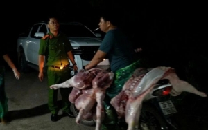 Thịt lợn nhiễm dịch tả châu Phi: Ăn vào nguy hiểm như thế nào?