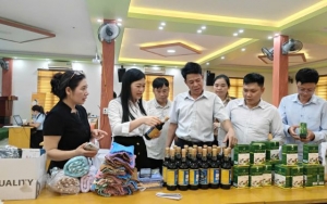 Tập huấn công nghệ số: Bước mở đầu cho nông nghiệp thông minh tại Sơn La