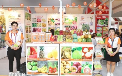 Trái cây Việt Nam thu hút khách quốc tế tại Hội chợ Asia Fruit Logistica 2025